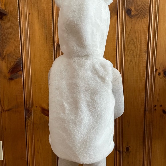 3/$10 Faux Fur w/Hood & Bear Ears (3T) - Picture 3 of 9